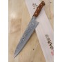 Couteau japonais de Chef Gyuto - TAKESHI SAJI - Acier Damascus R2 Black Finish - Dimension: 18 / 21/24cm