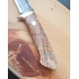 Couteau à fourreau japonais fait main - TAKEDA HAMONO - Super Blue Steel - Maplewood - Taille : 10cm