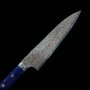 Couteau Chef Japonais gyuto- TAKESHI SAJI - Inox VG-10 Damas - Coloré - acrylique bleu- Taille:21/24cm