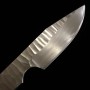 Custom Knife - PROMETHEUS - Thor - HS Stainless - Narthex(Ferula communis) -