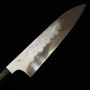 Japanese Chef Knife Gyuto - MIZUNO TANRENJO - Honyaki - Mirrored Finish - Engraved with a Dragon - Ebony handle - size: 24cm