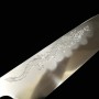 Japanese Chef Knife Gyuto - MIZUNO TANRENJO - Honyaki - Mirrored Finish - Engraved with a Dragon - Ebony handle - size: 24cm