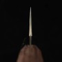Couteau Japonais de Chef Gyuto - ANRYU - Série Aogami Super - Dimension: 21 / 24cm