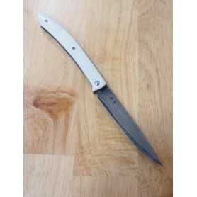 Couteau à steak - TAKESHI SAJI - Acier Damascus R2 - Manche Blanche - Dimension: 10cm