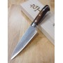 Couteau japonais Petty - TAKESHI SAJI - Acier Damascus Blue Steel No.2 - Coloré - Ironwood - Dimension: 13,5cm